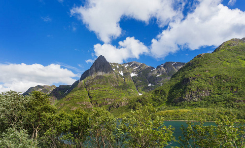 典型的斯堪的纳维亚风景与草甸山和峡湾。罗弗敦群岛, 挪威