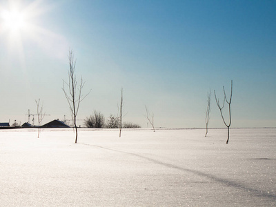 白雪皑皑的冬季风景