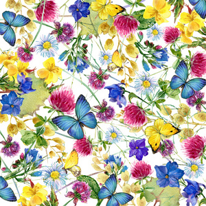 草药和花蝴蝶背景。水彩插图