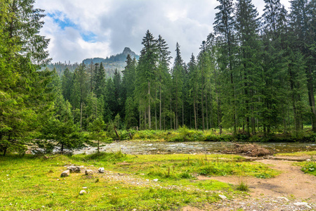 山区河流景观塔特拉山山谷