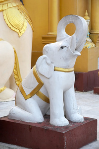 shwedagon 塔 仰光，缅甸