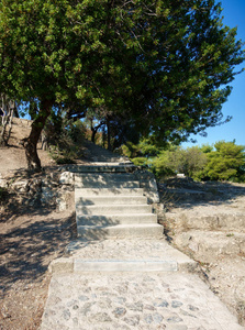 石头台阶和树在庭院, 雅典, 希腊