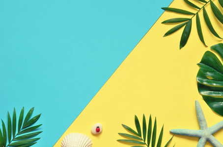 热带背景。棕榈树分支与海星和贝壳在黄色和蓝色背景。旅行.复制空间