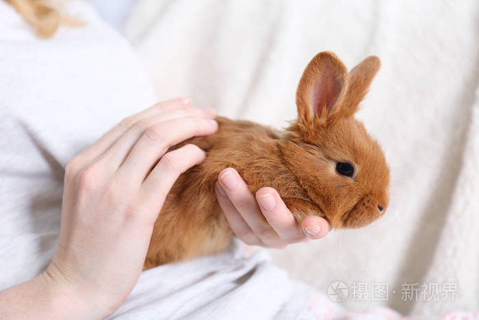 女孩抱着小兔子特写
