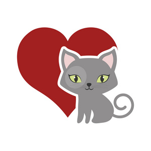 猫蓬松可爱动物红色的心