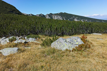 保加利亚 Rila 山附近 Malyovitsa 峰 Rila 山的惊人景观