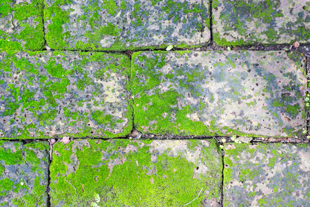 长满青苔的砖图片