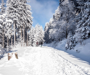 冬季景观与积雪覆盖徒步旅行的足迹, 冰冻的树木, 很少远足者和蓝天白云