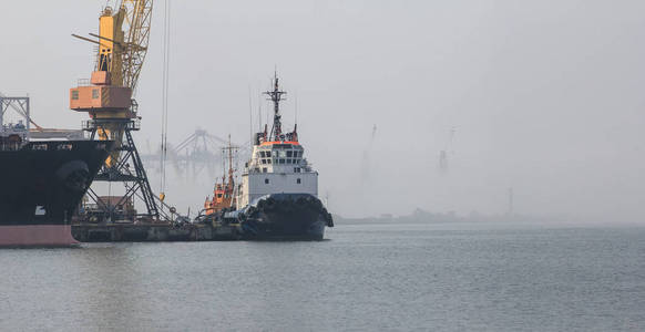 拖船在海港的码头。雾中笼罩的背景鹤