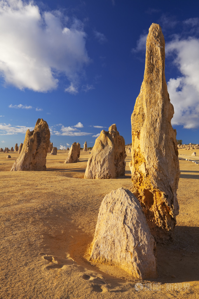 尖塔沙漠西部澳大利亚 nambung 国家公园