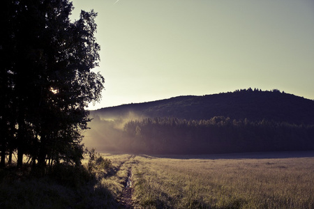 草地上有雾的早晨。日出景观照片与老式的影响
