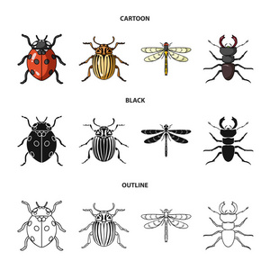虫子, 虫子, 甲虫, 爪子。昆虫集合图标在卡通, 黑色, 轮廓风格矢量符号股票插画网站