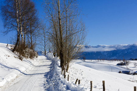 在冬季景观在喀尔巴阡山区公路