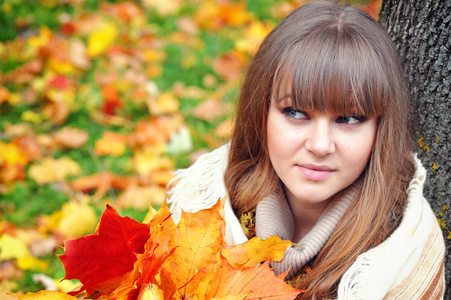 美丽的年轻女子，与秋天的肖像叶