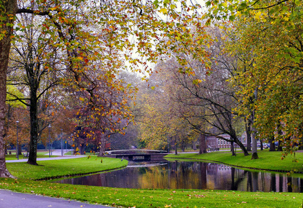鹿特丹2017年10月16日 公园在鹿特丹在秋天