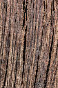 老风化烂裂木材 Grunge 表面纹理