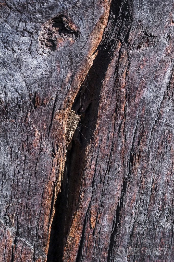 老风化烂裂木材 grunge 表面纹理
