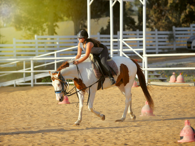 年轻的女孩骑着一匹马