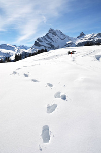 山区雪中的脚印