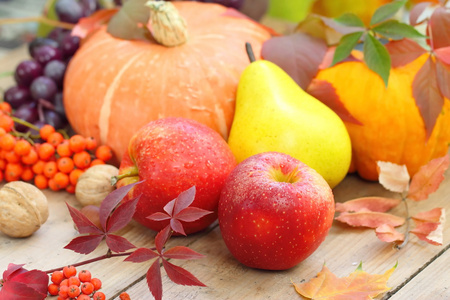 秋天的静物与各种水果蔬菜浆果图片