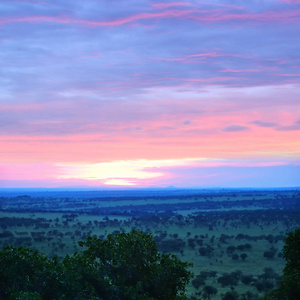 在坦桑尼亚的塞伦盖蒂上空日出, 非洲