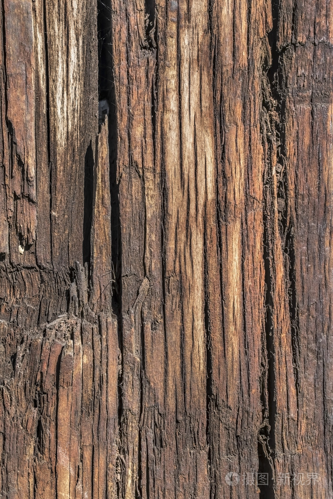 老风化烂裂木材 grunge 表面纹理