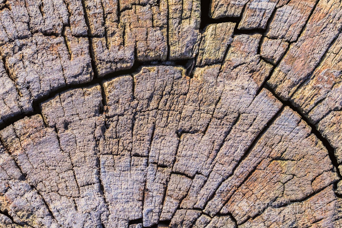 旧木材柱式风化烂裂沥青顶级 grunge 表面纹理