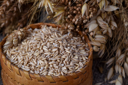 整个燕麦的谷物在柳条盒和各种谷物的耳朵