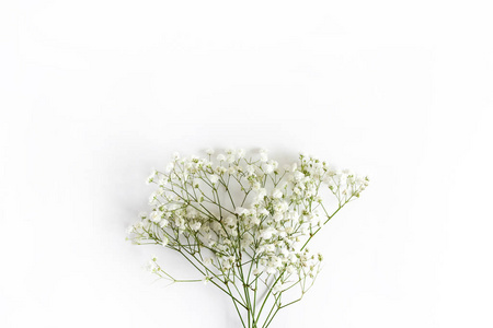 瓶内的满天星花白色背景下满天星花的特写镜头带有白色纸样机的剪贴板