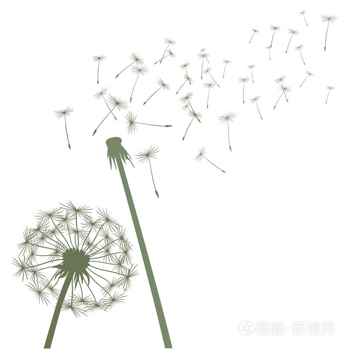 绿色矢量蒲公英插画-正版商用图片0fpjtm-摄图新视界