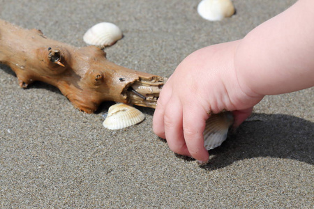 捡贝壳的孩子照片