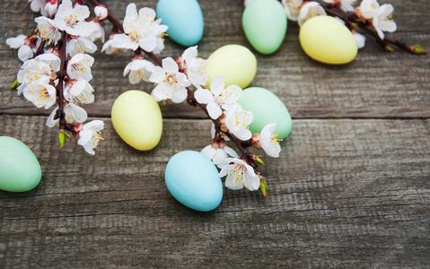 复活节彩蛋和春天开花