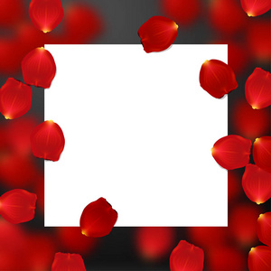 情人节的边境卡设计与红色的玫瑰花瓣