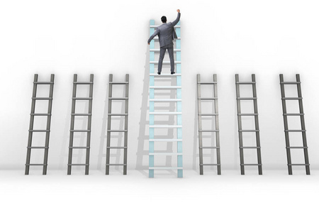 职业发展概念与不同的梯子