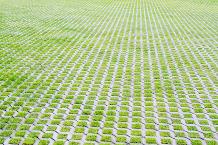 透水砖绿草环保停车场照片