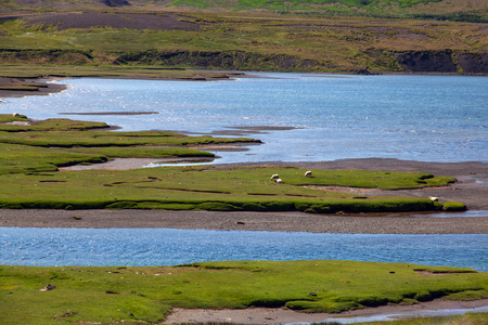 冰岛的海景群岛