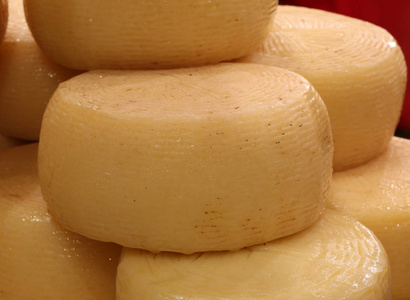 在意大利语叫干酪奶酪形式