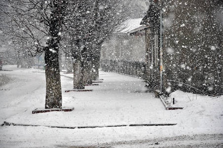 在这座城市的冬季降雪