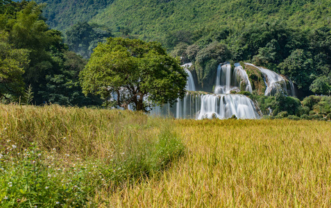 Gioc德天 waterfallban Gioc 瀑布是越南最壮观的瀑布, 位于大坝翠公社, Trung 庆区, 曹浜。Gio