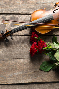 美丽的红玫瑰和小提琴的木质背景