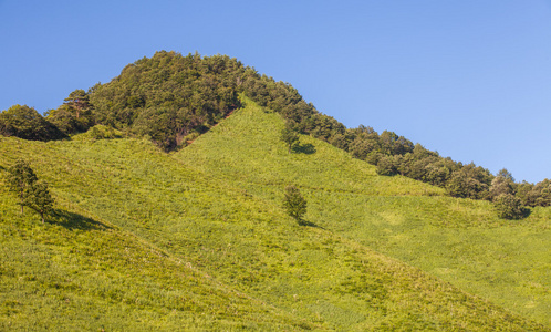 山和绿色领域