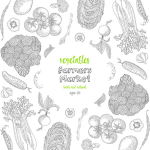 蔬菜顶部视图框。墨手画矢量图。农户市场菜单设计模板。有机蔬菜食品海报。老式手绘素描矢量插图。雕刻风格