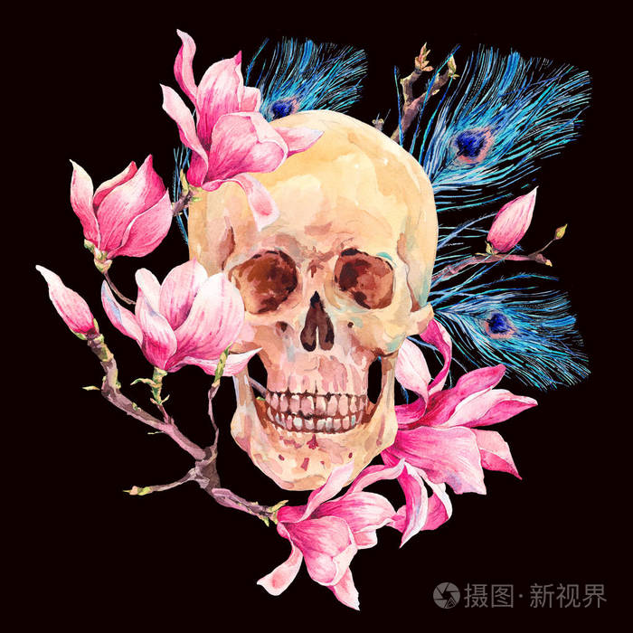 水彩的人类头骨,玉兰花粉色