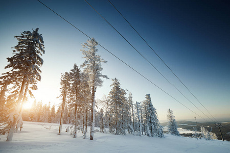 童话冬季景观与雪覆盖树木