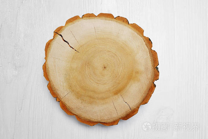 白色背景上的木树桩。以年轮为木材纹理的圆砍树