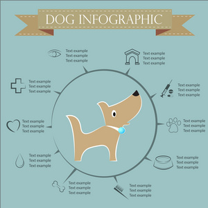 狗信息图形和图标集