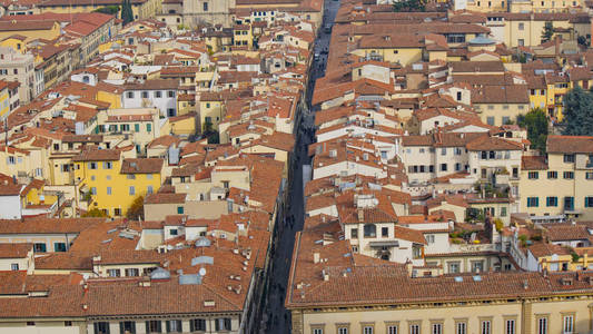 红色的屋顶的老房子佛罗伦萨从观察平台大教堂，圣母百花大教堂