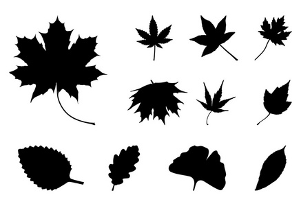 树叶子符号图片