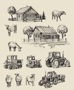 农场和动物手绘