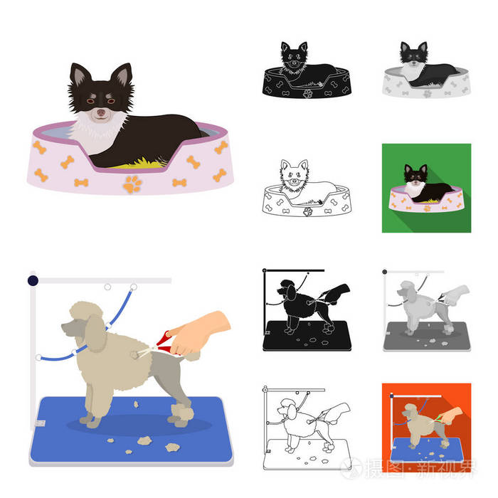 pet卡通黑色平面单色轮廓图标在集合中进行设计关怀与教育矢量符号